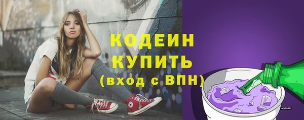эйфоретик Арсеньев