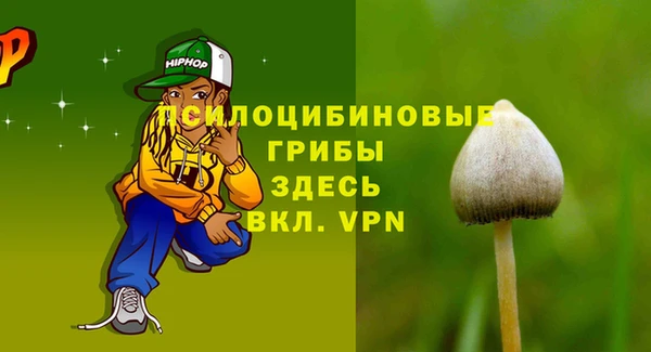 эйфоретик Арсеньев