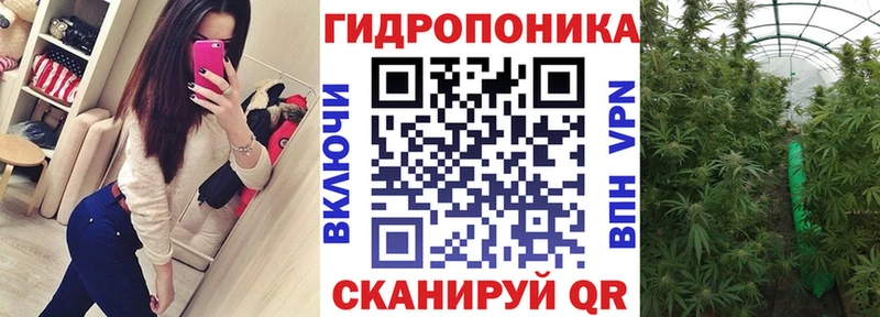 кракен рабочий сайт  продажа наркотиков  Усть-Джегута  Шишки марихуана MAZAR 